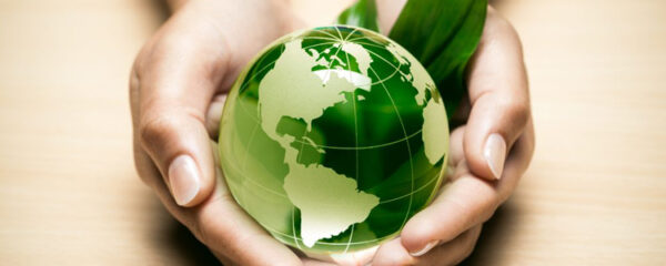 écologie